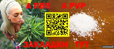 jwh Нальчик