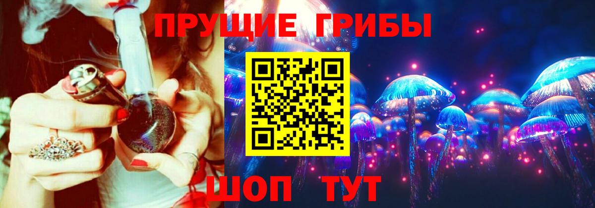 Псилоцибиновые грибы мицелий  Вход с VPN  Ставрополь 